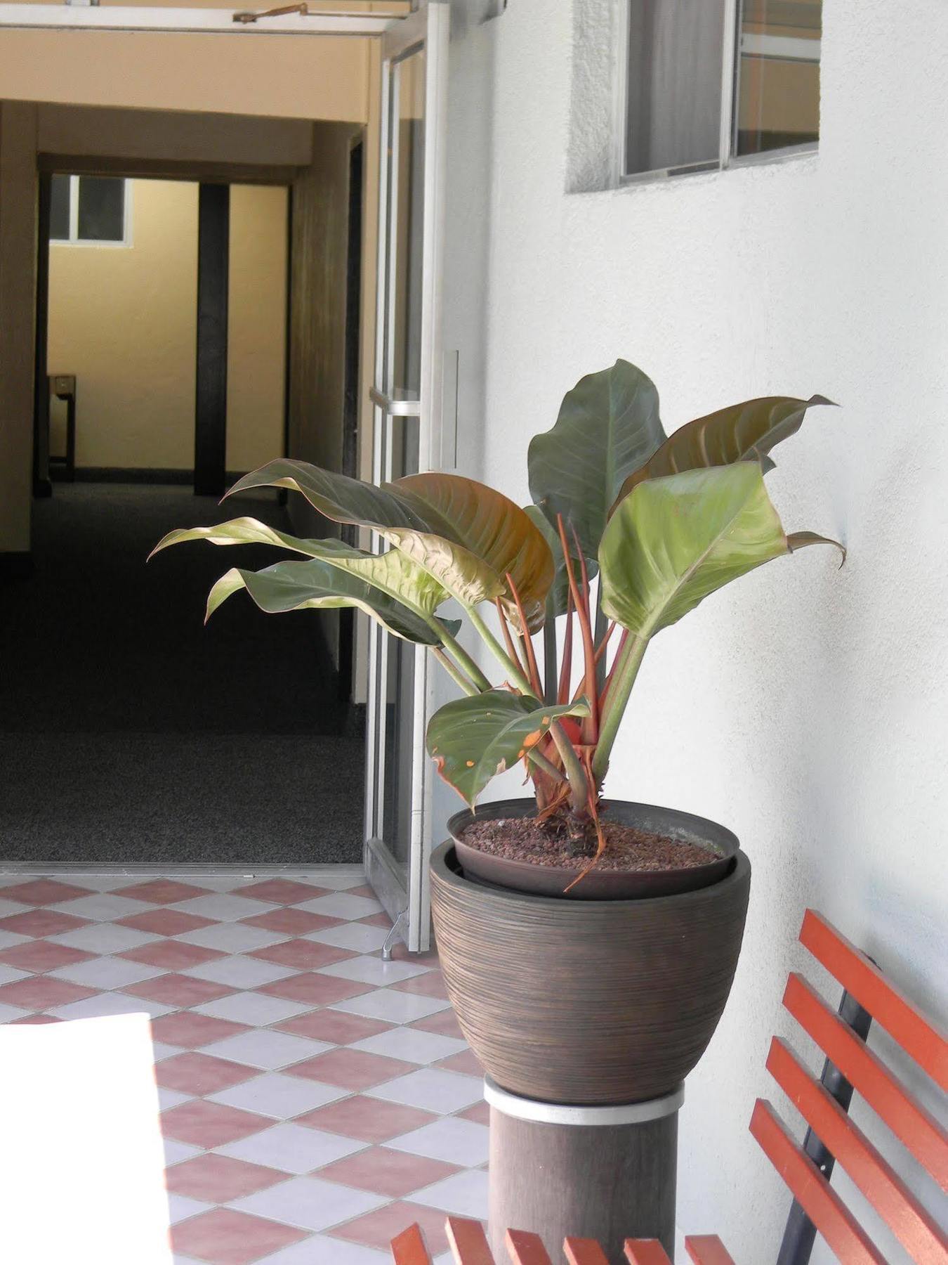 Hotel Plaza Hermosa Tijuana Luaran gambar